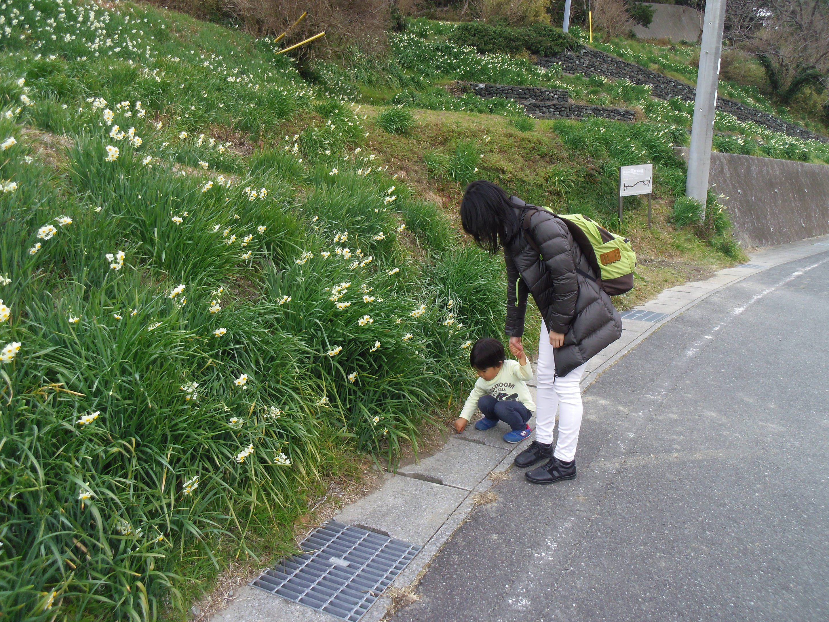 テントウムシをみつけているところ