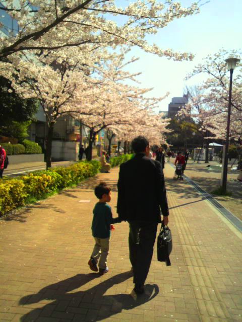 水神公園の桜