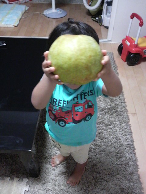 大きな梨