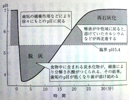 ｐH変動