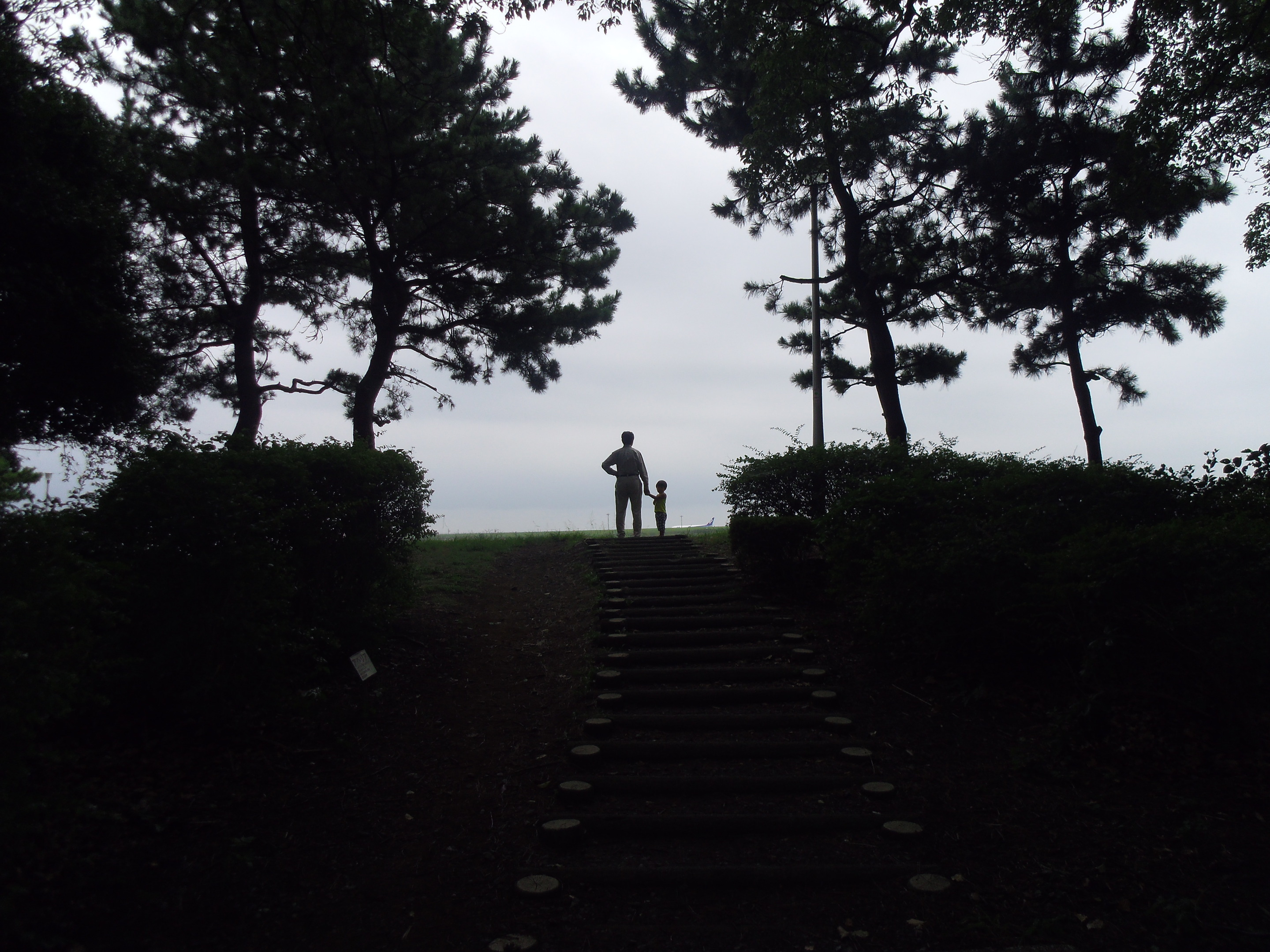 つばさ公園